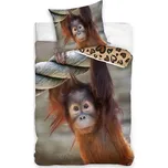 Bavlněné renforcé povlečení OPICE ORANGUTAN