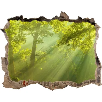 Fototapeta Nálepka fototapeta 3D výhled Les slunce