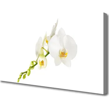 Obraz Obraz na plátně Květiny Rostlina Příroda 100x50 cm