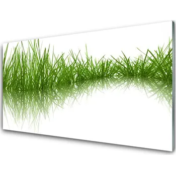 Obraz Obraz na skle Tráva Příroda Rostlina 100x50 cm 2 Přívěsky