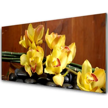 Obraz Obraz na skle Květ Kameny Rostlina 100x50 cm 2 Přívěsky