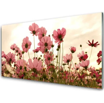 Obraz Obraz na skle Polní Květiny Louka Příroda 120x60 cm 2 Přívěsky