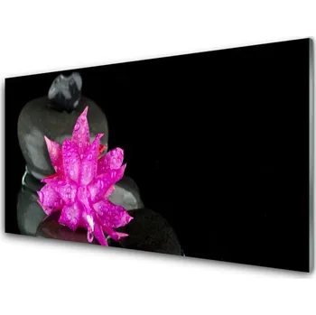 Obraz Obraz na skle Květ Kameny Rostlina 100x50 cm 2 Přívěsky