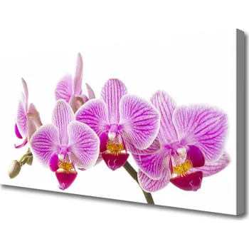 Obraz Obraz na plátně Květiny Rostlina Příroda 120x60 cm