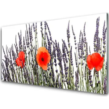 Obraz Obraz na skle Květiny Máky Pole Trávy 100x50 cm 2 Přívěsky
