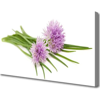 Obraz Obraz na plátně Květiny Rostlina Příroda 120x60 cm