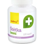 Štětka lesní cps.120 Wolfberry