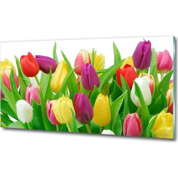 Obraz Foto-obraz fotografie na skle Barevné tulipány