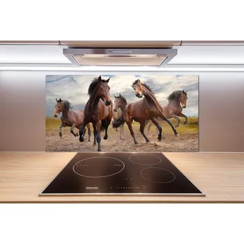 Obklad Skleněný panel do kuchynské linky Pět koní