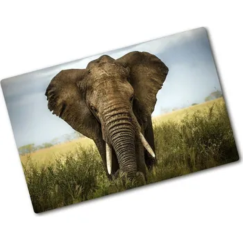 Kuchyňské prkénko Kuchyňská deska skleněná Slon savana