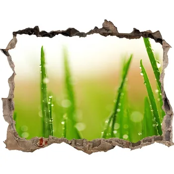 Fototapeta Samolepící díra na stěnu nálepka Tráva