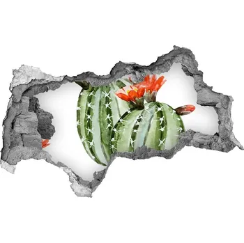 Fototapeta Nálepka díra na zeď Kaktusy