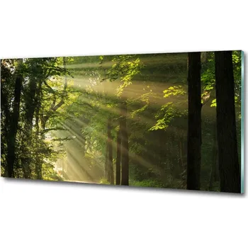 Obraz Fotoobraz na skle Les slunce