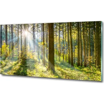 Obraz Foto obraz sklo tvrzené Les slunce