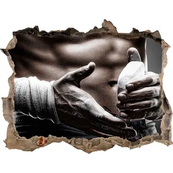 Fototapeta Foto fotografie díra na zeď Svaly