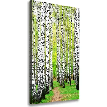 Obraz Vertikální Foto obraz canvas Břízový les