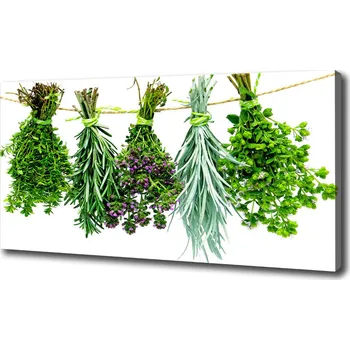 Obraz Foto obraz canvas Bylina na provázku