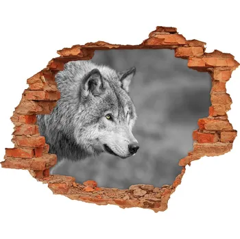 Fototapeta Díra 3D fototapeta na stěnu Šedý vlk