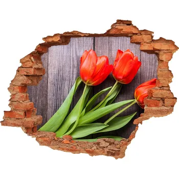 Fototapeta Samolepící nálepka Červené tulipány