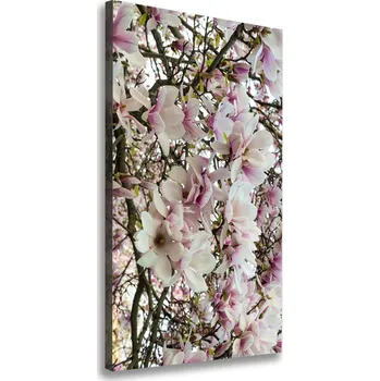 Obraz Vertikální Foto obraz na plátně Květy magnolie