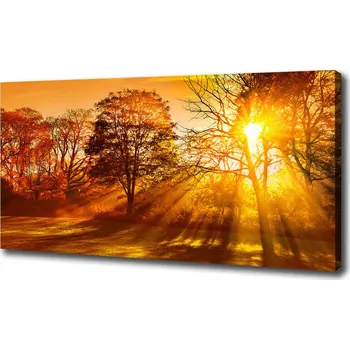 Obraz Foto obraz na plátně Západ slunce