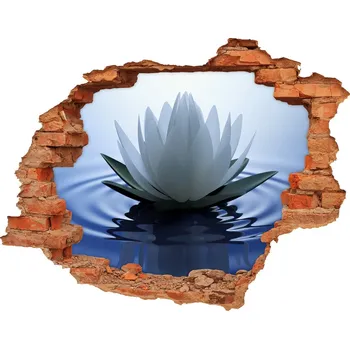 Fototapeta Samolepící nálepka fototapeta Vodní lilie