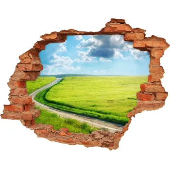 Fototapeta Díra 3D ve zdi nálepka Stezka na louce