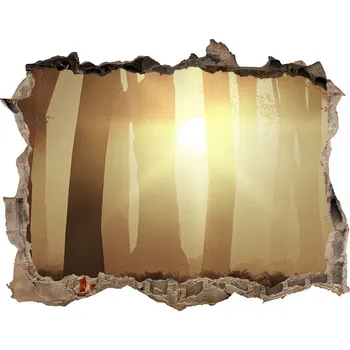 Fototapeta Nálepka fototapeta 3D výhled Mlha v lese