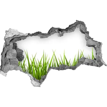Fototapeta Samolepící díra nálepka beton Tráva