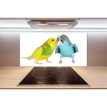 Obklad Panel do kuchyně Andulky