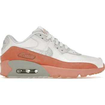 Dámské tenisky Nike Air Max 90 Leather Rainbow Salmon (GS) Velikost: 38.5 DM0956-100