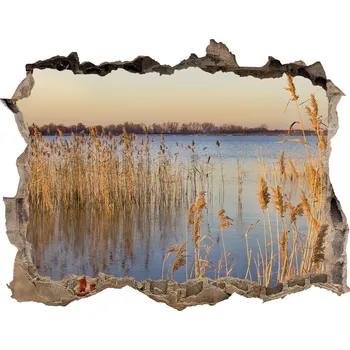 Fototapeta Samolepící nálepka beton Rákos