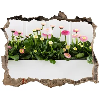 Fototapeta Fototapeta díra na zeď 3D Růžové sedmikrásky