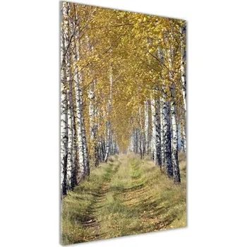 Obraz Vertikální Foto obraz sklo tvrzené Břízový les
