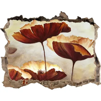 Fototapeta Díra 3D foto tapeta nálepka Máky