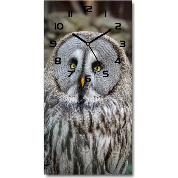 Hodiny Moderní hodiny nástěnné Sova