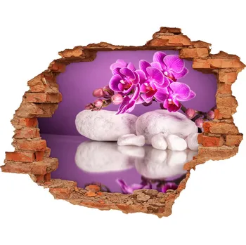 Fototapeta Samolepící díra nálepka Růžová orchidej