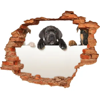 Fototapeta Díra 3D fototapeta nálepka Tři štěňátka