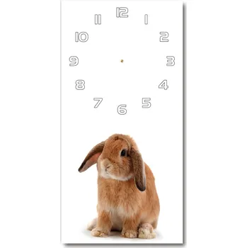Hodiny Moderní hodiny nástěnné Králík