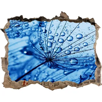 Fototapeta Samolepící díra nálepka Semena pampelišky