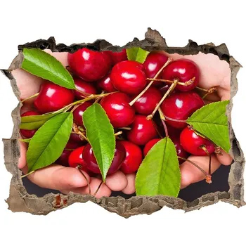 Fototapeta Samolepící nálepka Višně v dlaních