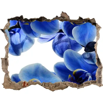 Fototapeta Fototapeta nálepka na zeď Modrá orchidej