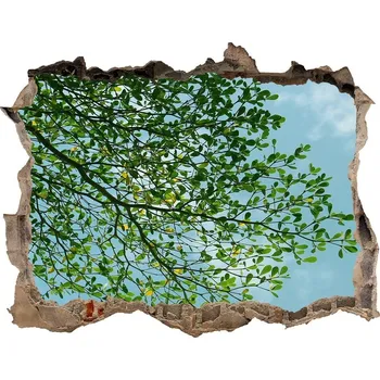 Fototapeta Díra 3D ve zdi nálepka Listí na nebi
