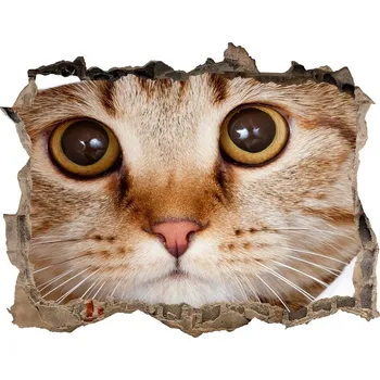 Fototapeta Díra 3D fototapeta nálepka Kočka