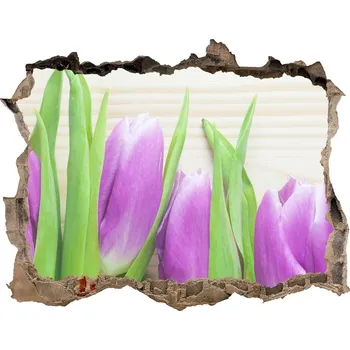 Fototapeta Samolepící díra nálepka Fialové tulipány