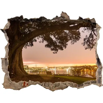 Fototapeta Nálepka fototapeta 3D na zeď Starý strom