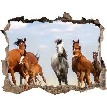 Fototapeta Díra 3D fototapeta nálepka Koně ve cvalu