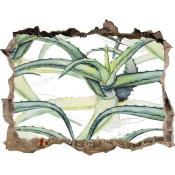 Fototapeta Fototapeta díra na zeď 3D Aloes
