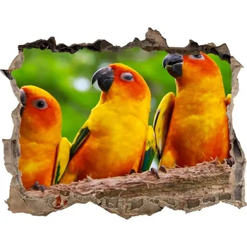 Fototapeta Díra 3D fototapeta nálepka Papošci na větvi