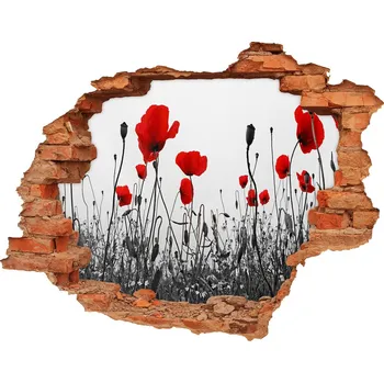 Fototapeta Samolepící nálepka fototapeta Máky